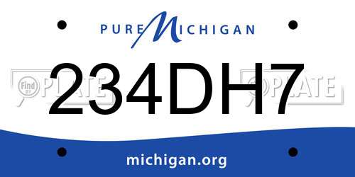 234DH7 Michigan License Plate