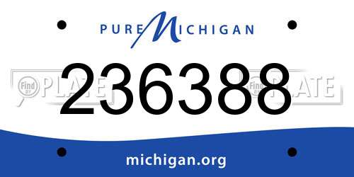236388 Michigan License Plate