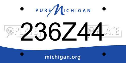 236Z44 Michigan License Plate