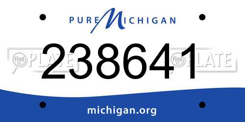 238641 Michigan License Plate