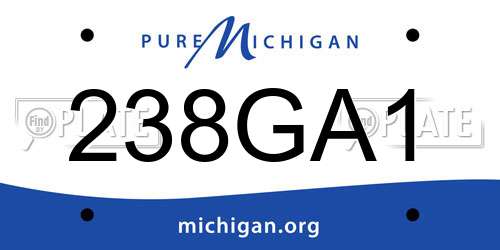238GA1 Michigan License Plate