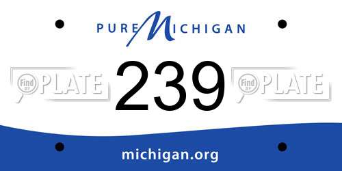 239 Michigan License Plate
