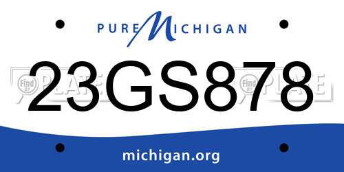 23GS878 Michigan License Plate
