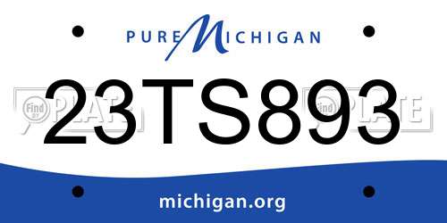 23TS893 Michigan License Plate