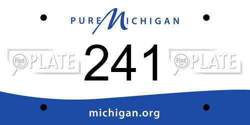 241 Michigan License Plate
