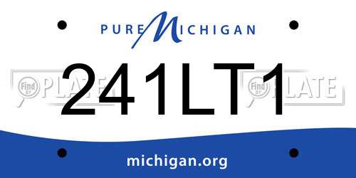 241LT1 Michigan License Plate