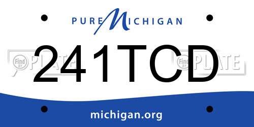 241TCD Michigan License Plate