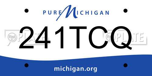241TCQ Michigan License Plate