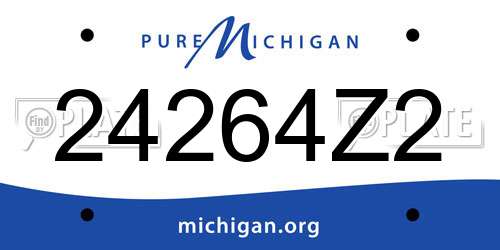 24264Z2 Michigan License Plate