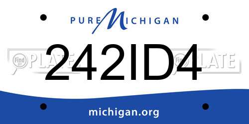 242ID4 Michigan License Plate