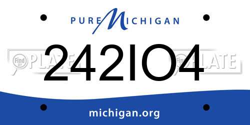 242IO4 Michigan License Plate
