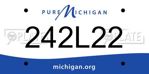 242L22 Michigan License Plate