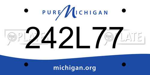 242L77 Michigan License Plate