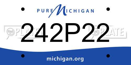 242P22 Michigan License Plate