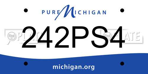 242PS4 Michigan License Plate