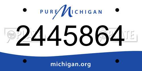 2445864 Michigan License Plate