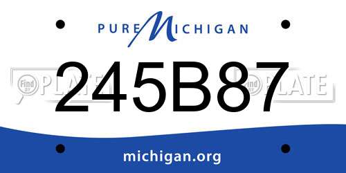245B87 Michigan License Plate