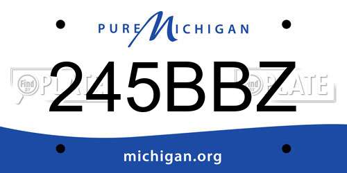 245BBZ Michigan License Plate