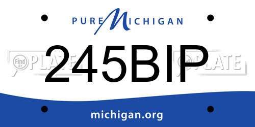245BIP Michigan License Plate