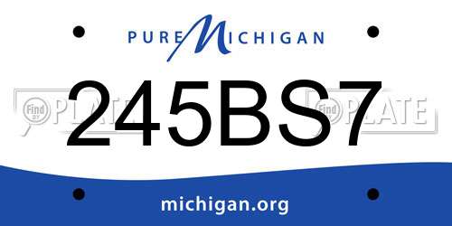 245BS7 Michigan License Plate