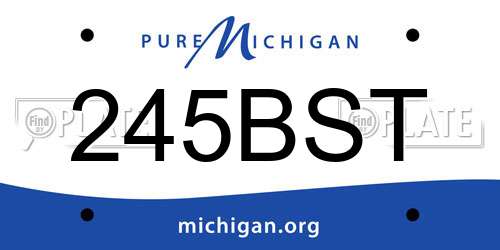 245BST Michigan License Plate