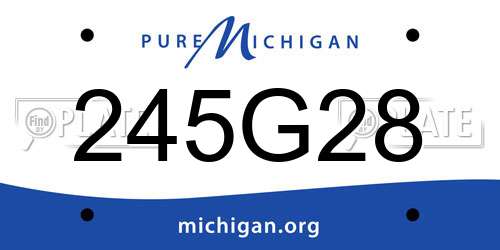 245G28 Michigan License Plate