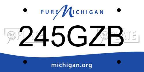 245GZB Michigan License Plate
