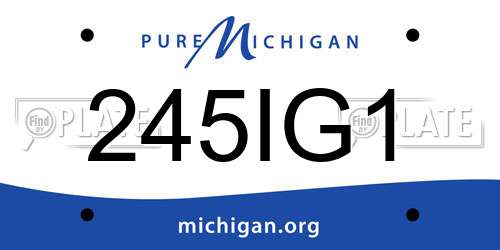245IG1 Michigan License Plate