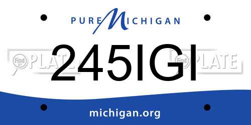 245IGI Michigan License Plate