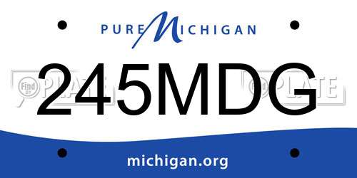 245MDG Michigan License Plate