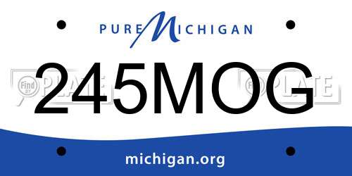 245MOG Michigan License Plate