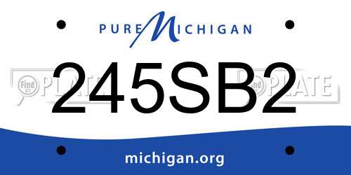245SB2 Michigan License Plate