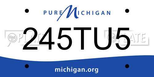 245TU5 Michigan License Plate