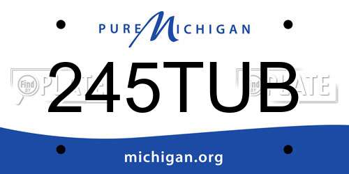 245TUB Michigan License Plate