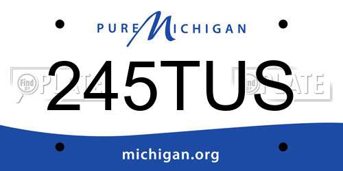 245TUS Michigan License Plate