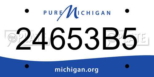24653B5 Michigan License Plate