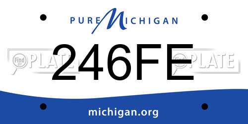 246FE Michigan License Plate