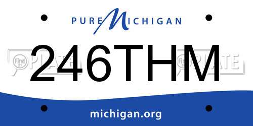 246THM Michigan License Plate