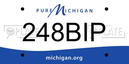 248BIP Michigan License Plate