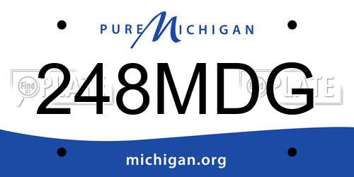 248MDG Michigan License Plate