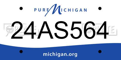 24AS564 Michigan License Plate