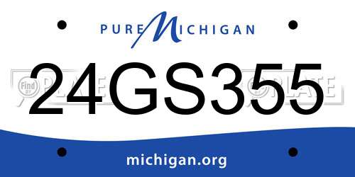 24GS355 Michigan License Plate