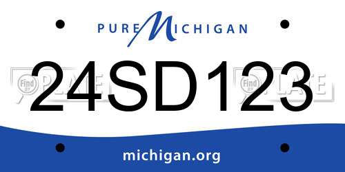 24SD123 Michigan License Plate
