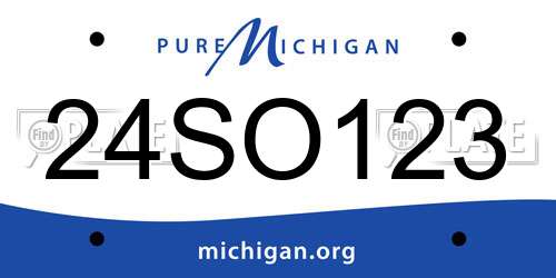 24SO123 Michigan License Plate