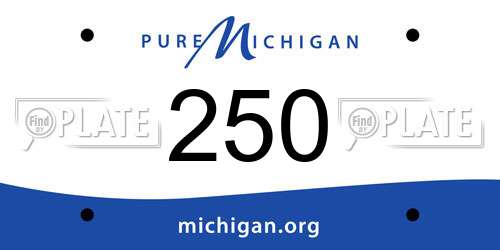 250 Michigan License Plate