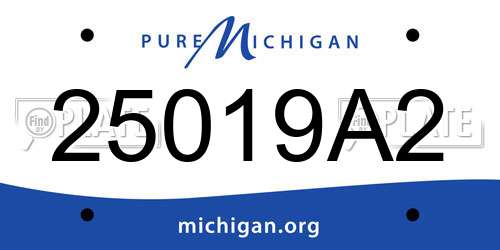 25019A2 Michigan License Plate