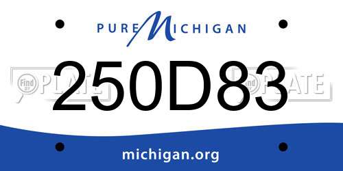250D83 Michigan License Plate