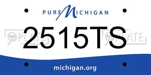 2515TS Michigan License Plate