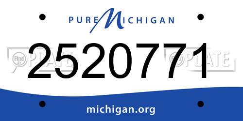 2520771 Michigan License Plate