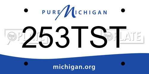 253TST Michigan License Plate